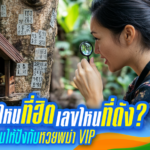 เลขไหนที่ฮิต เลขไหนที่ดัง? ใช้เลขคู่ไหนให้ปังกับหวยพม่า VIP